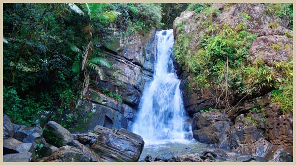 Waterfall at tropical Rainforest