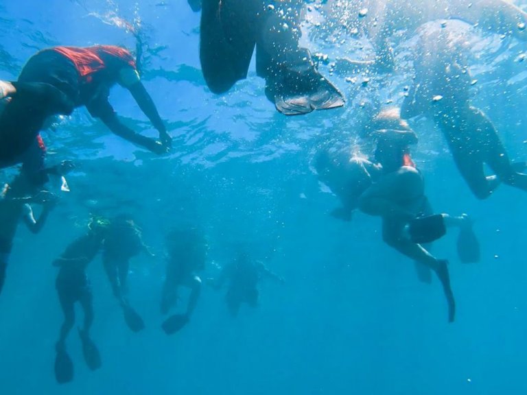 Culebra Island Snorkel & Kayaking Tour Kayaking Puerto Rico